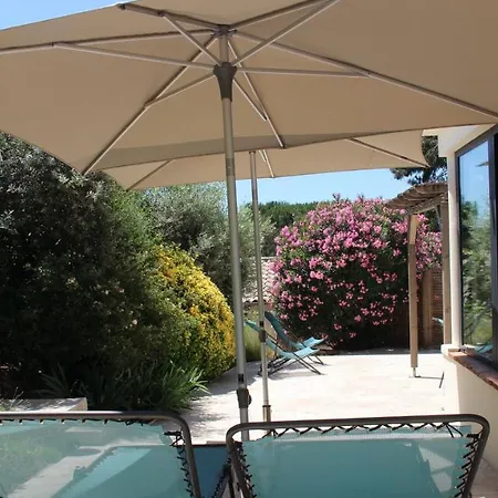 Apartament Charmant T2***Climatise, Terrasse Arboree, Parking *